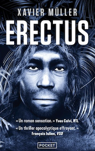 erectus